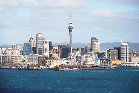 anixi nya zeeland auckland resa