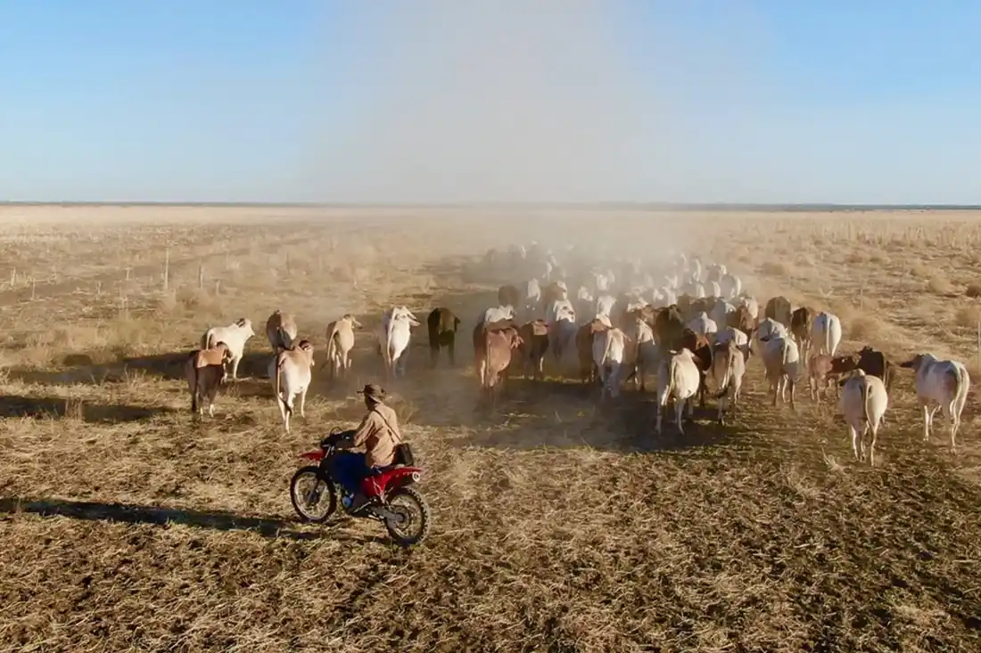 Anixi-australien-farm-work-snabba fakta