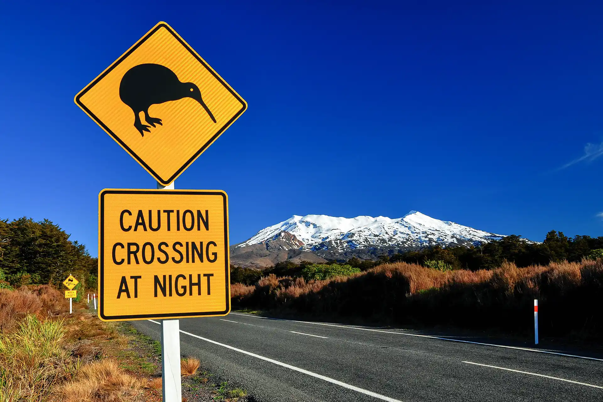 Anixi-nya-zeeland-requirements-kiwi